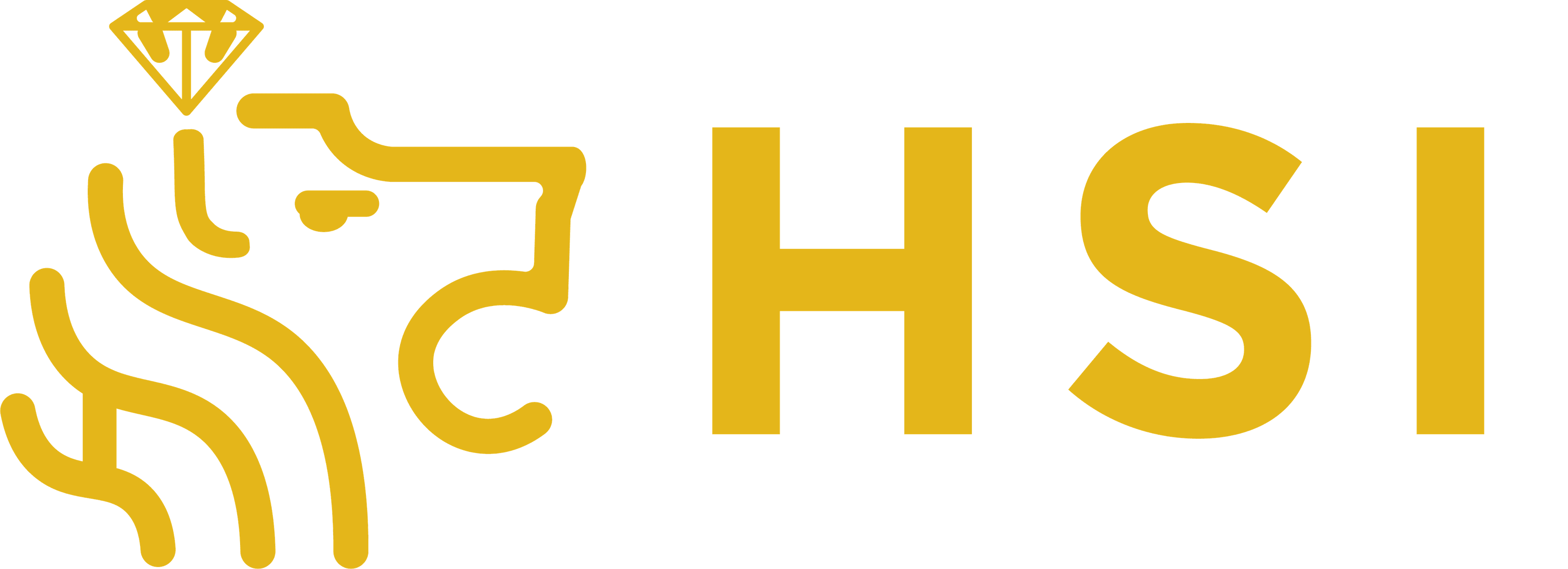 HSI Logo
